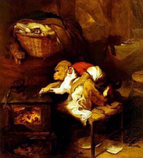 Sir Edwin Landseer The Cat's Paw china oil painting image
